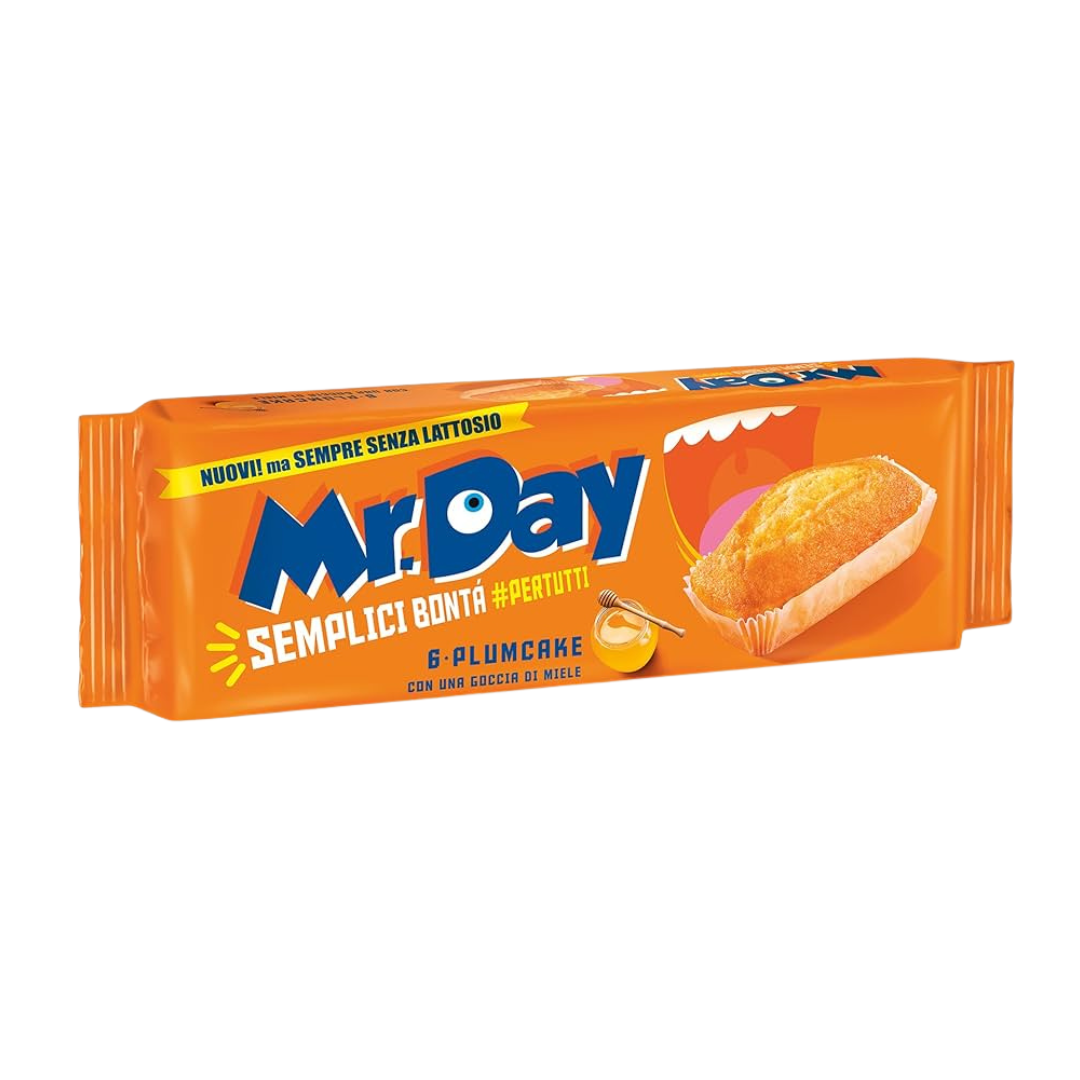 Plumcake Senza Lattosio 190g